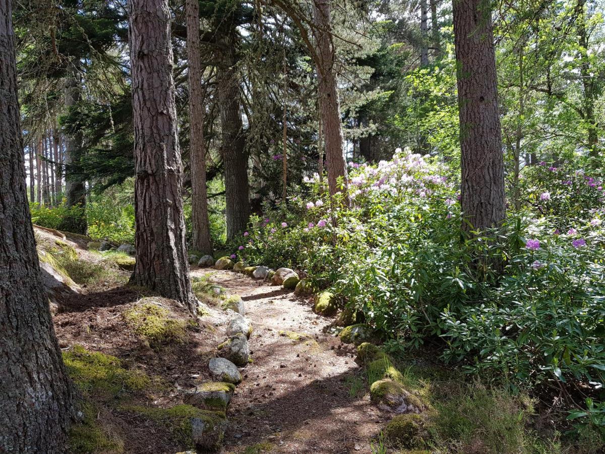 Cambus O' May Traditional Highland Hotel Ballater Zewnętrze zdjęcie